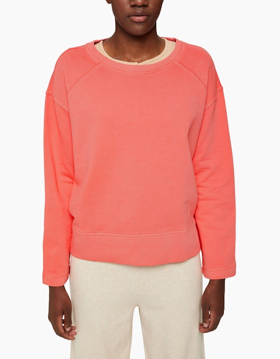 Esprit Sweatshirt aus 100% Baumwolle | ADLER Mode Onlineshop