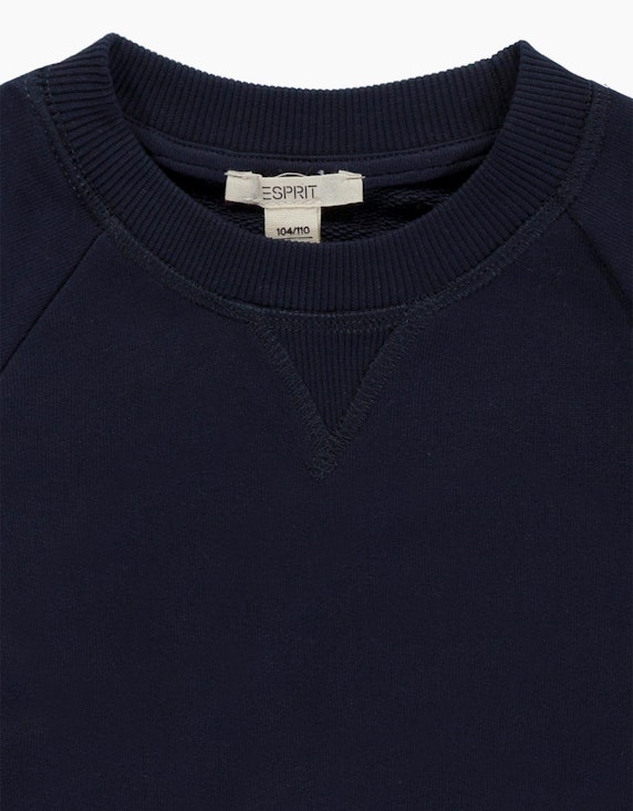 Esprit Mini Boys Sweatshirt aus reiner Baumwolle | ADLER Mode Onlineshop