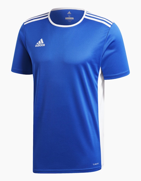 Adidas Sport T-Shirt | ADLER Mode Onlineshop
