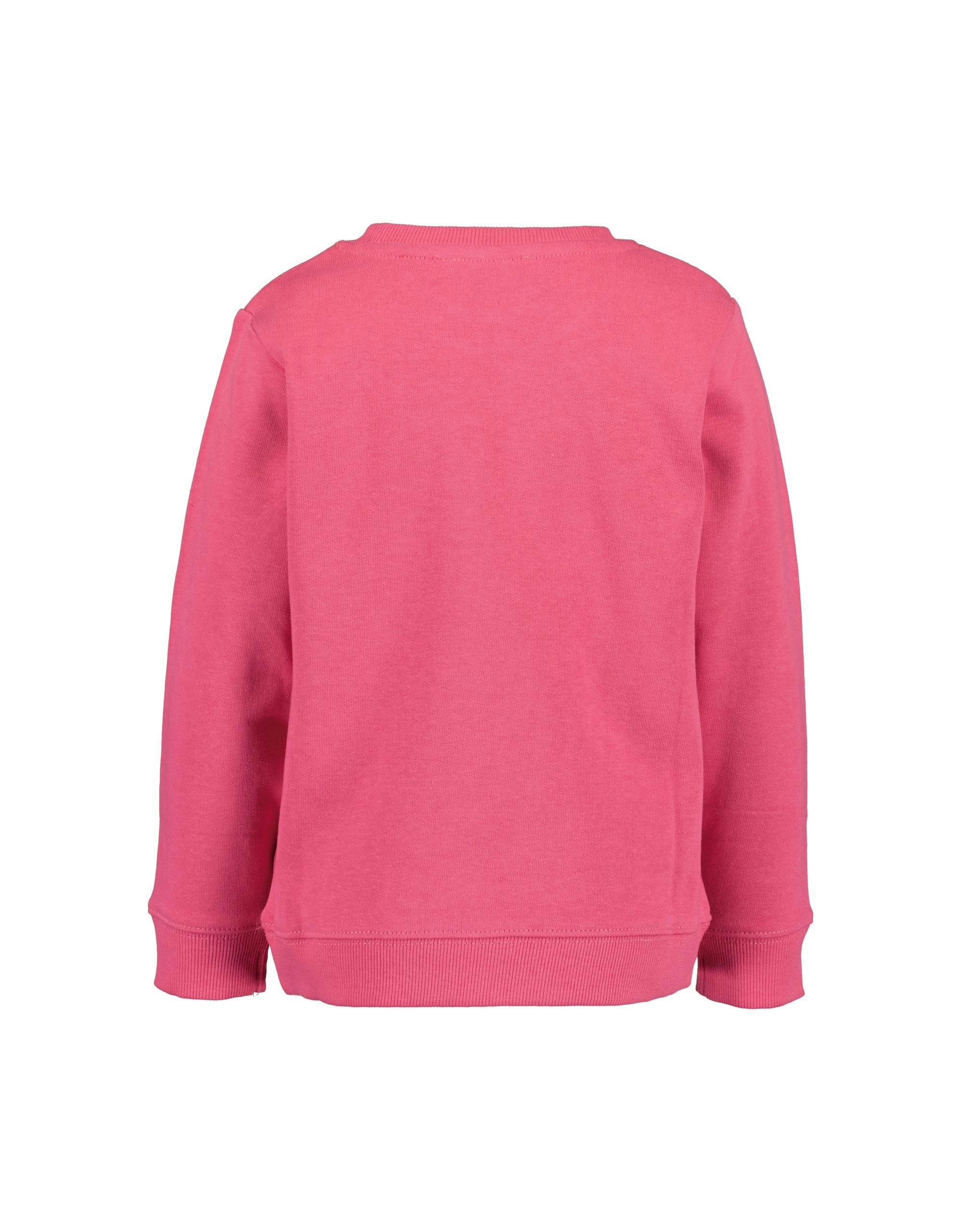 Zara sweatshirt Rabatt 67 % KINDER Pullovers & Sweatshirts Pailletten Rosa 128 