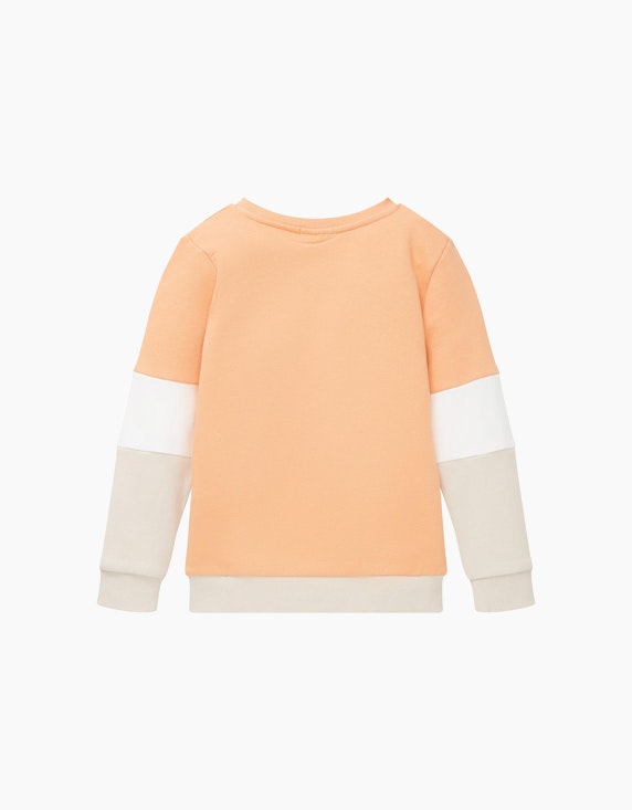 TOM TAILOR Mini Boys Sweatshirt mit Druck | ADLER Mode Onlineshop